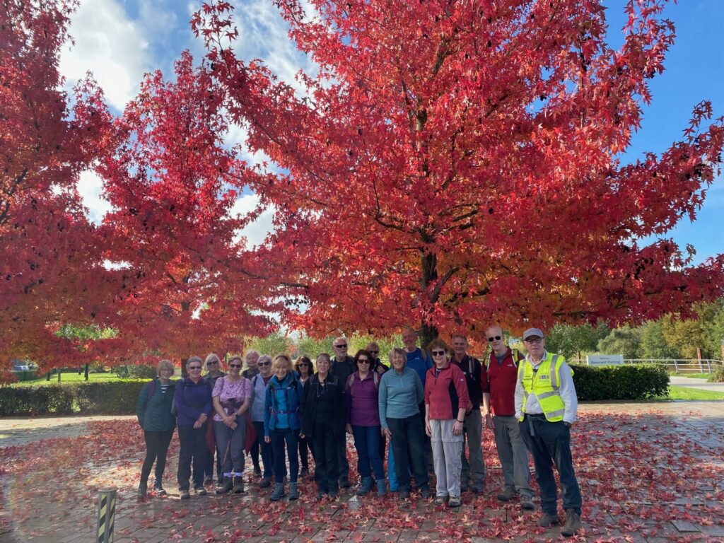 "7 mile Walk around Worcester"